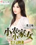 重生之小小农家女小说