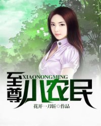 至尊小农民王鸣完整版