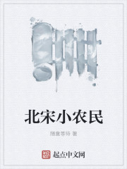 北宋小农民